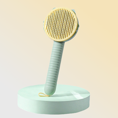 Hair Brush