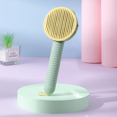 Hair Brush