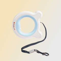 LED Smart Dog Leash