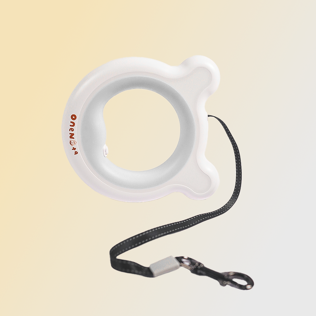 LED Smart Dog Leash